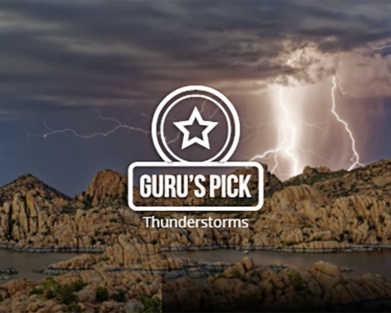 Guru's Pick