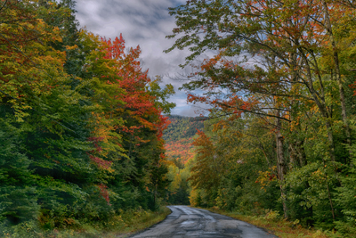 Autumn